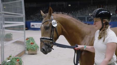 494. Tamimt Tayri Taghbalt