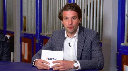 Webinar - Hoe fok ik een veulen?