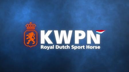 Dressuurhengsten Eerste bezichtiging - 12 december