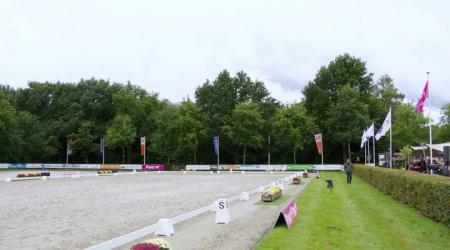 Finale Pavo Cup 5-jarige - 1e Deel Groep 1