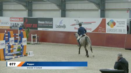 077	. Pepper (tweede manche)