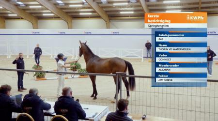 046. THORIN VD WATERMOLEN