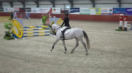 065. Z REBEL BLUE - N