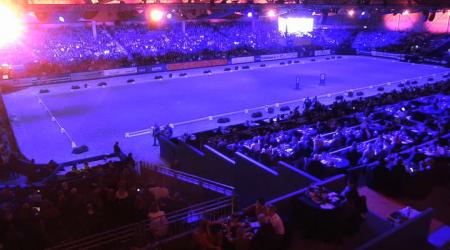 Horse of the year - Johnson