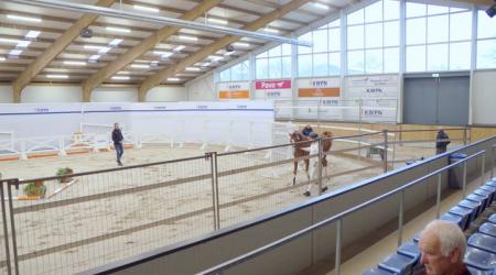 030. CRESCENDO VAN DE BOXEM Z