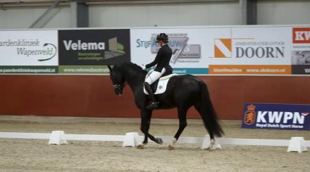 007. RADETSKY H - 034. ROCKY NOREL