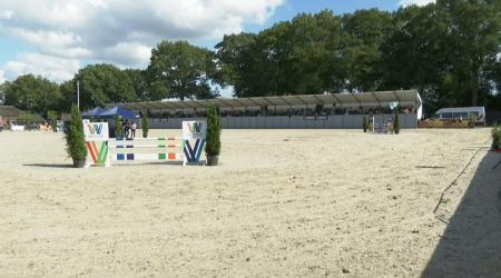 Nationale Tuigpaardendag 2023 - NMK: Finale driejarigen