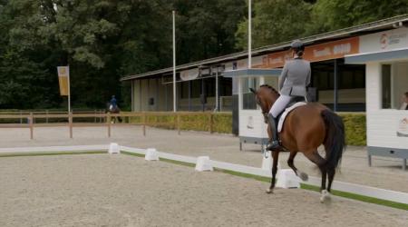 Newveniz Ds en 118. Nijntje