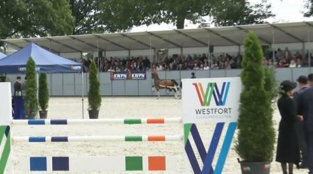 Nationale Tuigpaardendag 2023 - Negen jaar en oudere fokmerries 