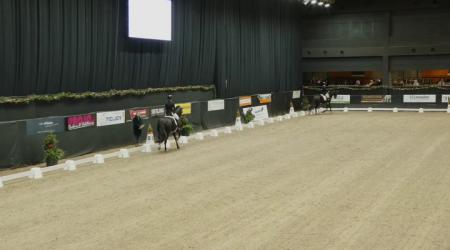 007. Radetsky H en 025. Royal Dynamic