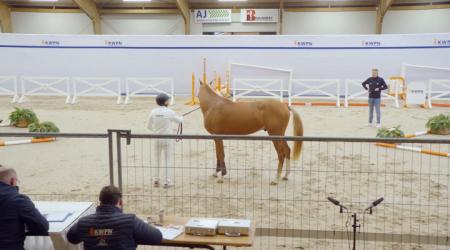 018. TAKE OFF VD LAARSE HEIDE