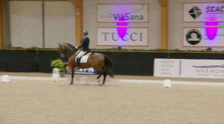 22. O'Toto Van De Wimphof