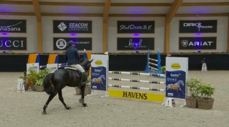 Daryus van het Poeleind Z (barrage)