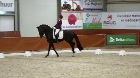 008. OBSESSION TAONGA