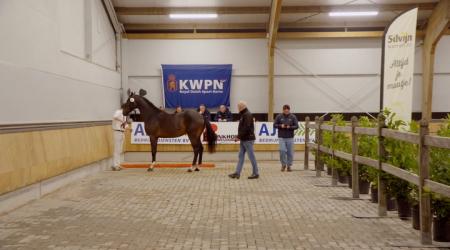 16 december - Straatje (groep 1)