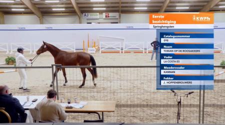 098. TOBIAN OP DE ROOSAKKERS