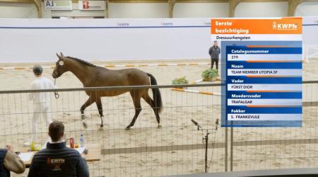 379. Team Member Utopia SF