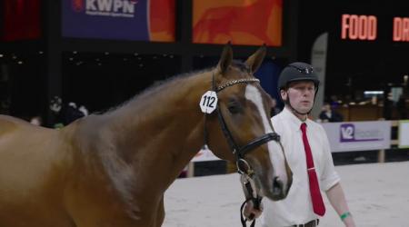 112. Aurelius Optimus