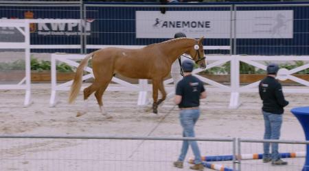 018. Take Off vd Laarse Heide