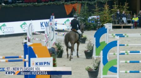 097. NEW PLEASURE VDL