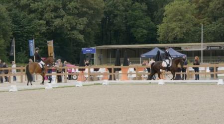 Prima Donna K de La Fazenda en 275. Puma tc