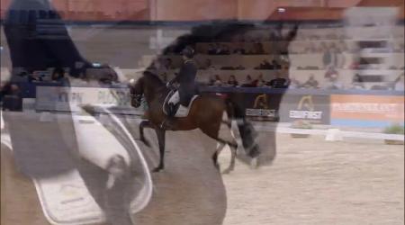 790 - Ferdinand - VHO trofee