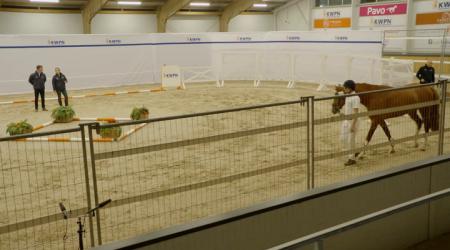 454. TAKE A CHANCE ON ME H