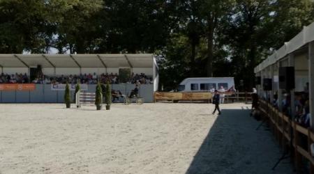 Westfort Hengstencompetitie