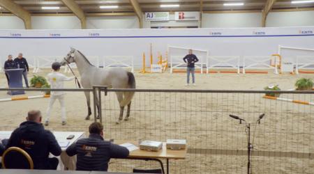 107. MORIATY GREY BR Z