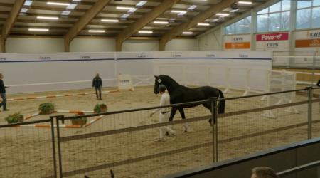 504. Top Secret d'Or