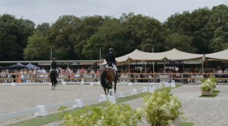 Orion W en 052. Red Viper