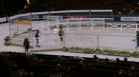 123. Taliafico Anemone RT