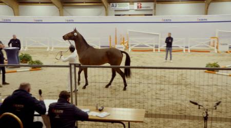 065. TOUCH ESPECIALE