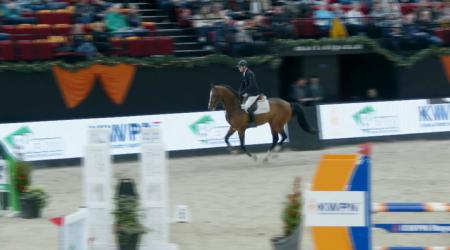 081. PADDINGTON VD MARSHOEVE