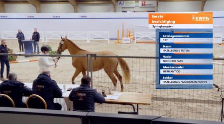 127. HAZELBERG'S TOTEM