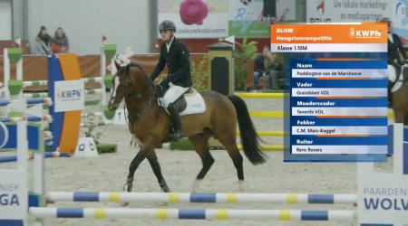 081	Paddington van de Marshoeve