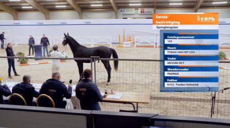 109. TOBIAS VAN HET LOO