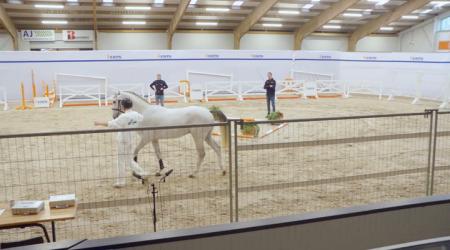 120. TOMTOM CARLOS V