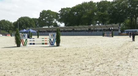 Nationale Tuigpaardendag 2023 - Presentatie goedgekeurde hengste