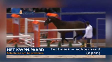 Techniek - achterhand