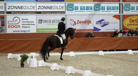 006. RENZO - 025. ROYAL DYNAMIC