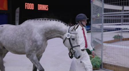 058. Detroit Van De Hagenhorst