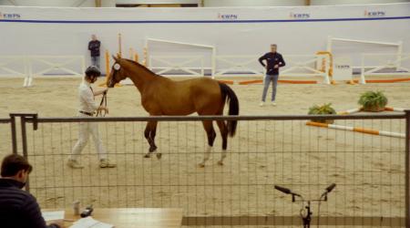 077. EMERALDS'S TOUCH RV Z