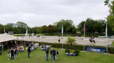 Halve finale Pavo Cup - 6-jarige Dressuurpaarden Groep 2
