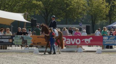 Pride en 145. Pythagoras WK