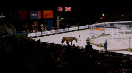 048. Triviant Vd Watermolen