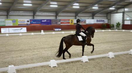 031. PERFECT PLEASURE - 023. LAMBORGHINI U.S.