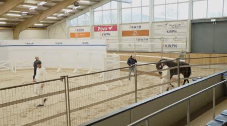 388. TOUCH OF GLAMOUR AB