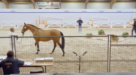 060. TROUVAILLE J.P.P.