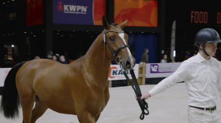 115. Nozem Van De Blarinckhorst Z